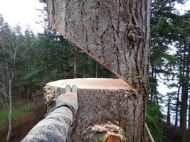 0 mo speedline 08.jpg