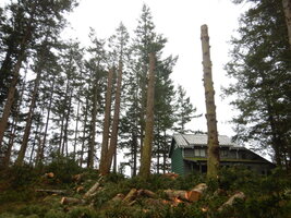 0 mo speedline 10.jpg