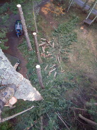 0 mo speedline 09.jpg