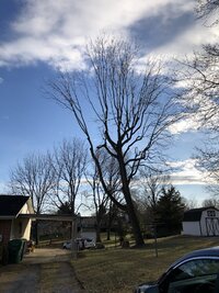 IMG_8328 (768x1024).jpg