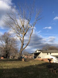 IMG_8329 (768x1024).jpg