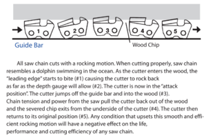 Screenshot 2023-01-26 13.08.39.png