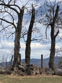 Broken But Standing.jpg