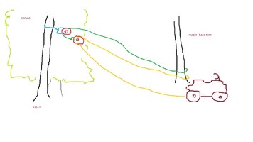 aspen out of spruce.jpg