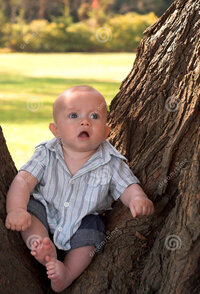 tree-baby-1936428.jpg
