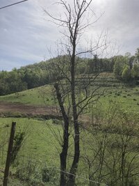 58C1F523-02AC-4C11-8B81-2968774A23B1.jpeg