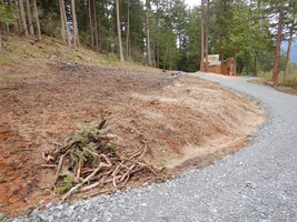 00 spreading chips 2.jpg