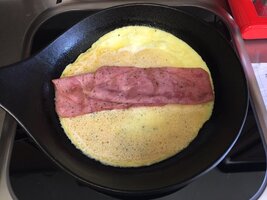 230426 Omelet ready -IMG_1045.JPG