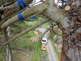 0 Broken Gfir 00.jpg