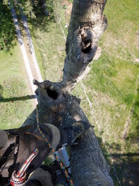 0 Broken Gfir 02.jpg