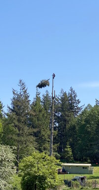 0 Broken Gfir 05.jpg