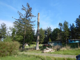 0 Broken Gfir 06.jpg