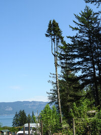 Scott at Camp Spotted Deer 1.jpg