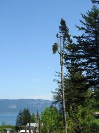 Scott at Camp Spotted Deer 2.jpg
