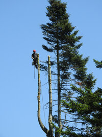 Scott at Camp Spotted Deer 3.jpg