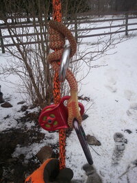 2013-02-28 11.35.49.jpg