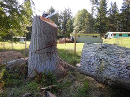 0 Broken Gfir 07.jpg