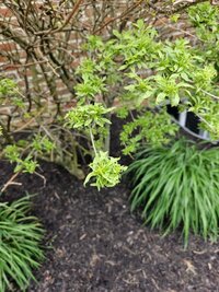 20230616_161846 (Medium).jpg