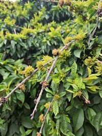 20230616_161855 (Medium).jpg