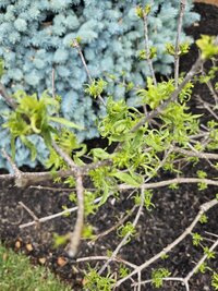 20230616_163007 (Medium).jpg