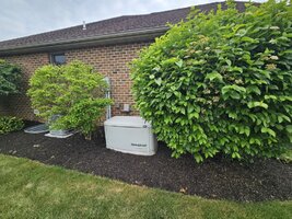 20230616_164308 (Medium).jpg