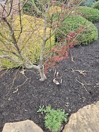 20230616_164605 (Medium).jpg