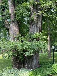 IMG_3930 Medium.jpeg