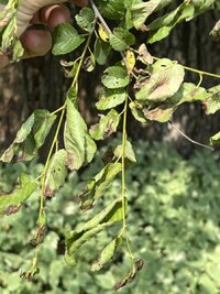 IMG_3927 Medium.jpeg