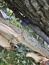 20230619_100432 (Medium).jpg