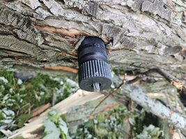 20230619_100440 (Medium).jpg