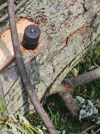 20230619_100449 (Medium).jpg