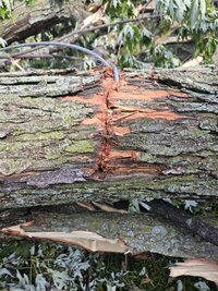 20230619_100427 (Medium).jpg