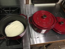 230702 Bread ready to bake -IMG_1089 (002).JPG