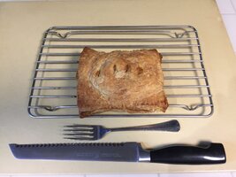 230704 Pie baked -IMG_1099.JPG