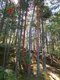 00 WS 02 (Small).jpg