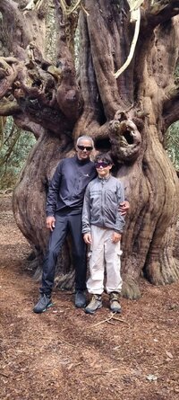 Screenshot_20230820_135739_Gallery.jpg Screenshot_20230820_135739_Gallery.jpg