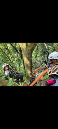 Screenshot_20230820_135540_Gallery.jpg Screenshot_20230820_135540_Gallery.jpg