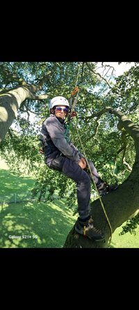 Screenshot_20230820_135450_Gallery.jpg Screenshot_20230820_135450_Gallery.jpg