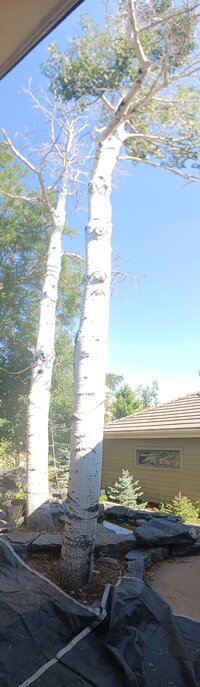 20230817_093333 (1).jpg