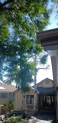 20230817_093610 (1).jpg