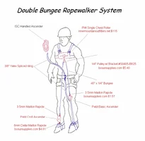 88950-doublebungee.webp