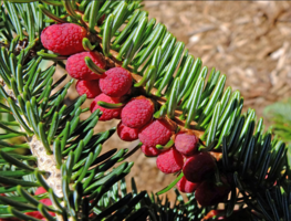 Screenshot 2023-09-02 234435.png