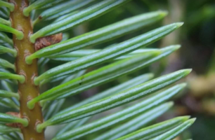 Screenshot 2023-09-02 234453.png