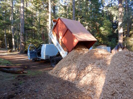 0000 todayish 03.jpg