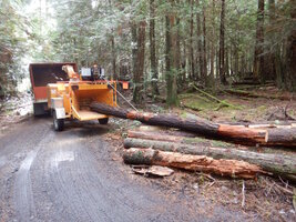 0000 todayish 04.jpg