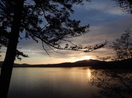 0 sunset madrone 02.jpg