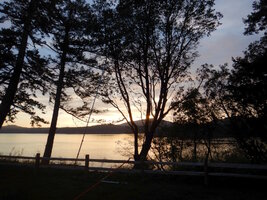 0 sunset madrone 03.jpg