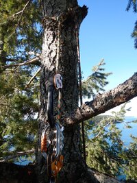 DSCN6785 (Custom).JPG