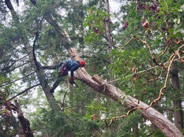 00 work at any angle.jpg