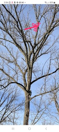 Screenshot_20231216_175841_WhatsApp.jpg Screenshot_20231216_175841_WhatsApp.jpg